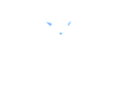 Dog Space Lush